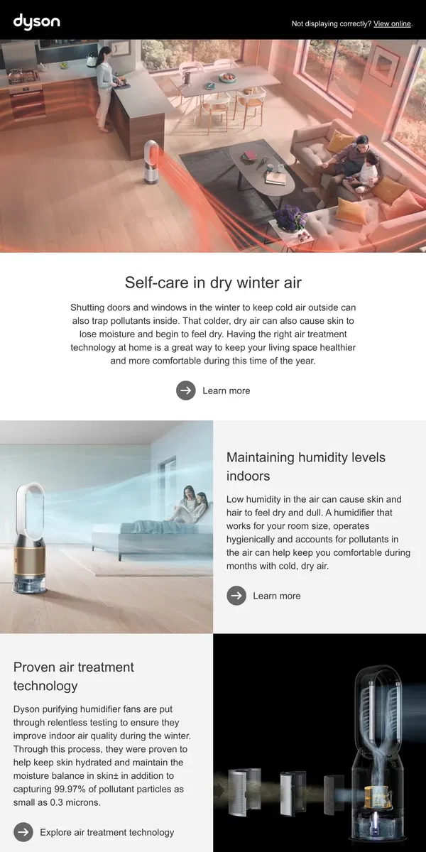 Email from Dyson. Solutions for dry winter air