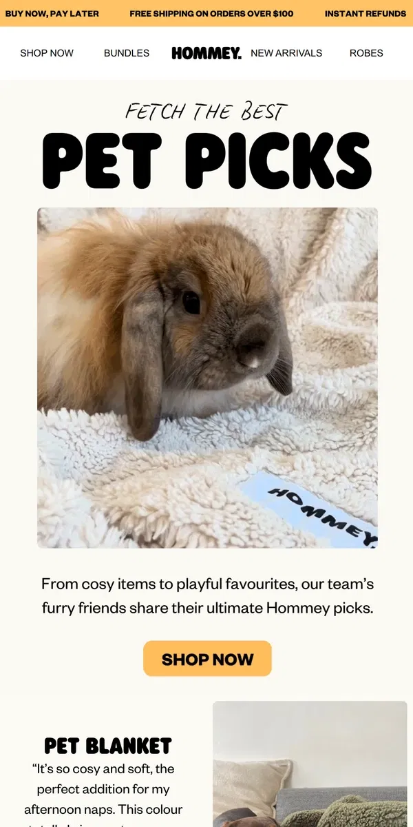 Email from Hommey. Our Furry Friends Share Their Hommey Picks 🐾