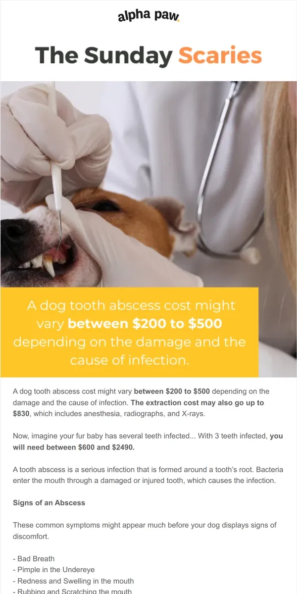 Email from Alpha Paw. Dog Tooth Abscess is extremely costly and dangerous...