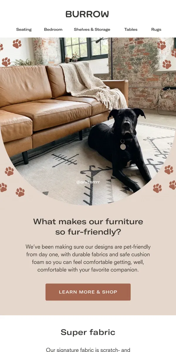 Email from Burrow. What makes our furniture so fur-friendly?