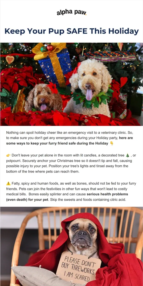 Email from Alpha Paw. 🐶  Keep Your Pup Safe This Holiday Season...