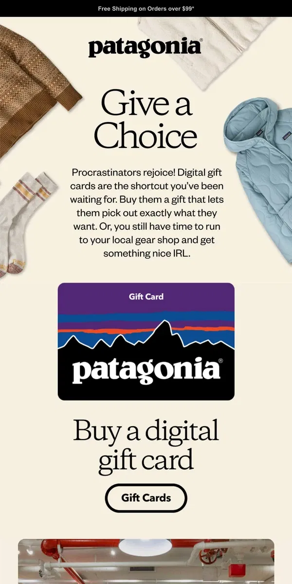 Email from Patagonia. Gift cards to save the day