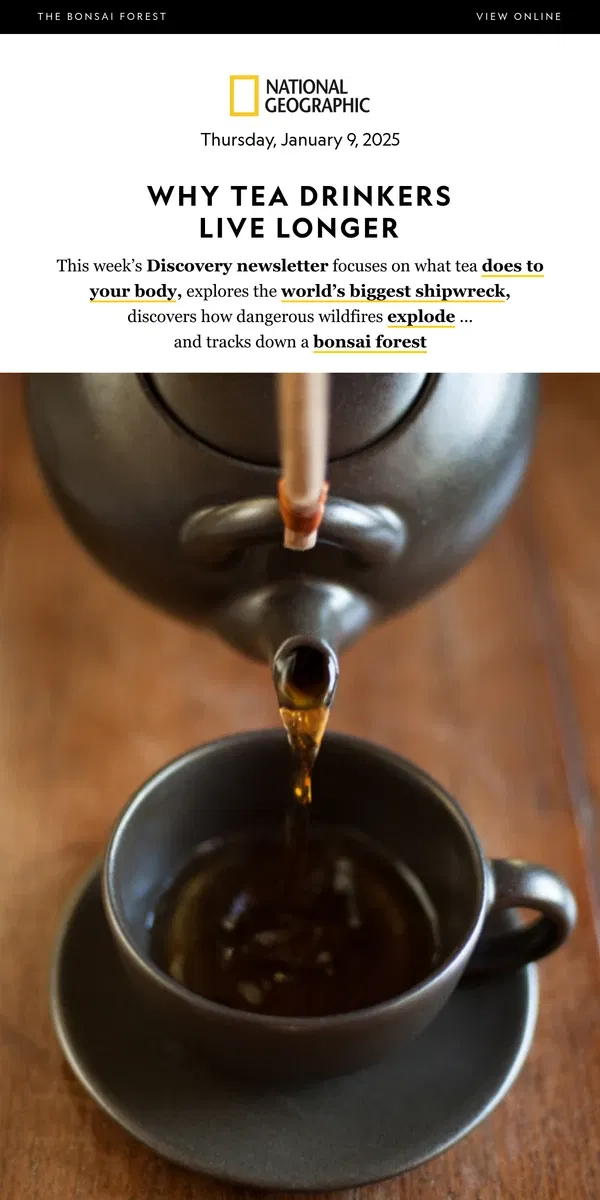 Email from National Geographic. Why tea drinkers live longer. Plus, the world’s biggest shipwreck; the ADHD jump