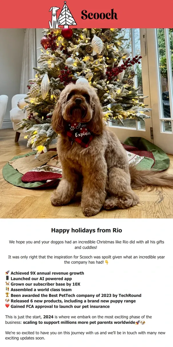 Email from Scooch. Happy holidays from Rio🎄🐶