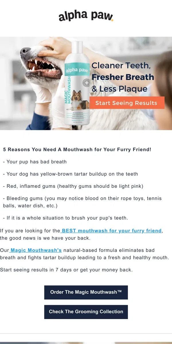 Email from Alpha Paw. 5 Reasons You Need A Mouthwash for Your Furry Friend!