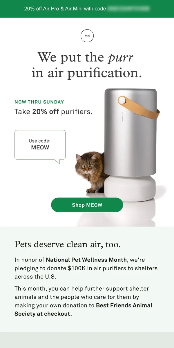 Email from Molekule. This sale = The cat’s pajamas 😽