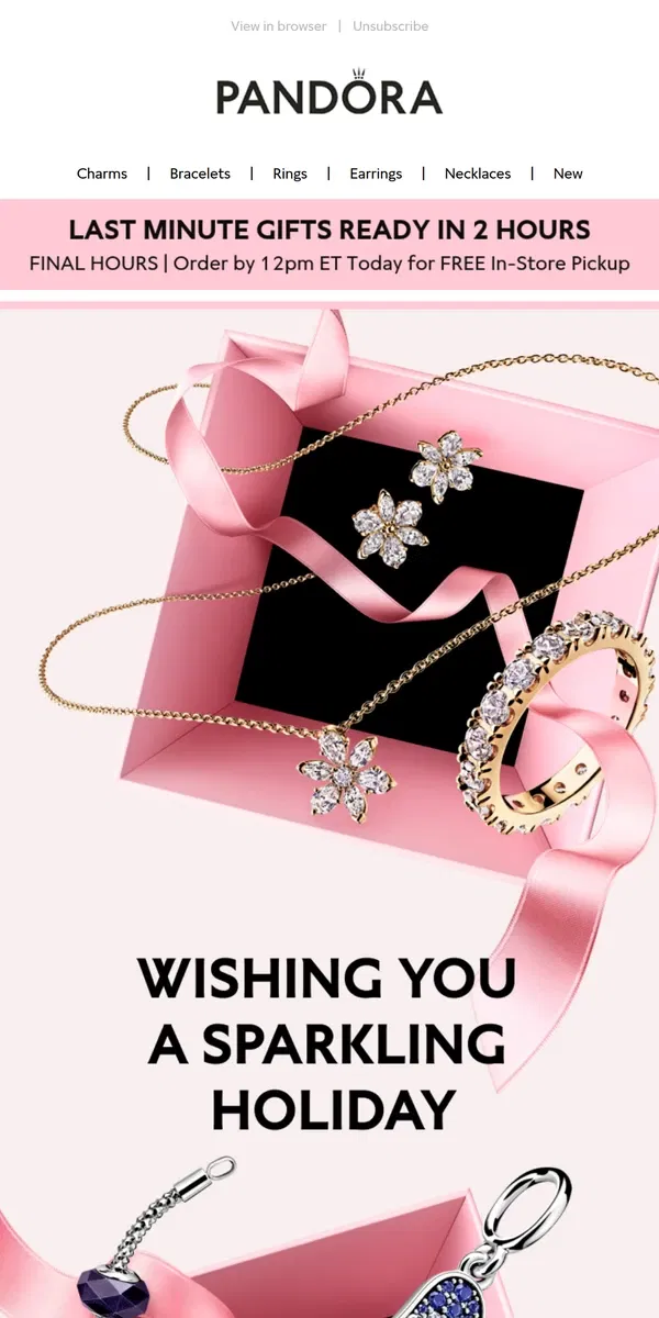 Email from Pandora Jewelry. Wishing you Happy Holidays