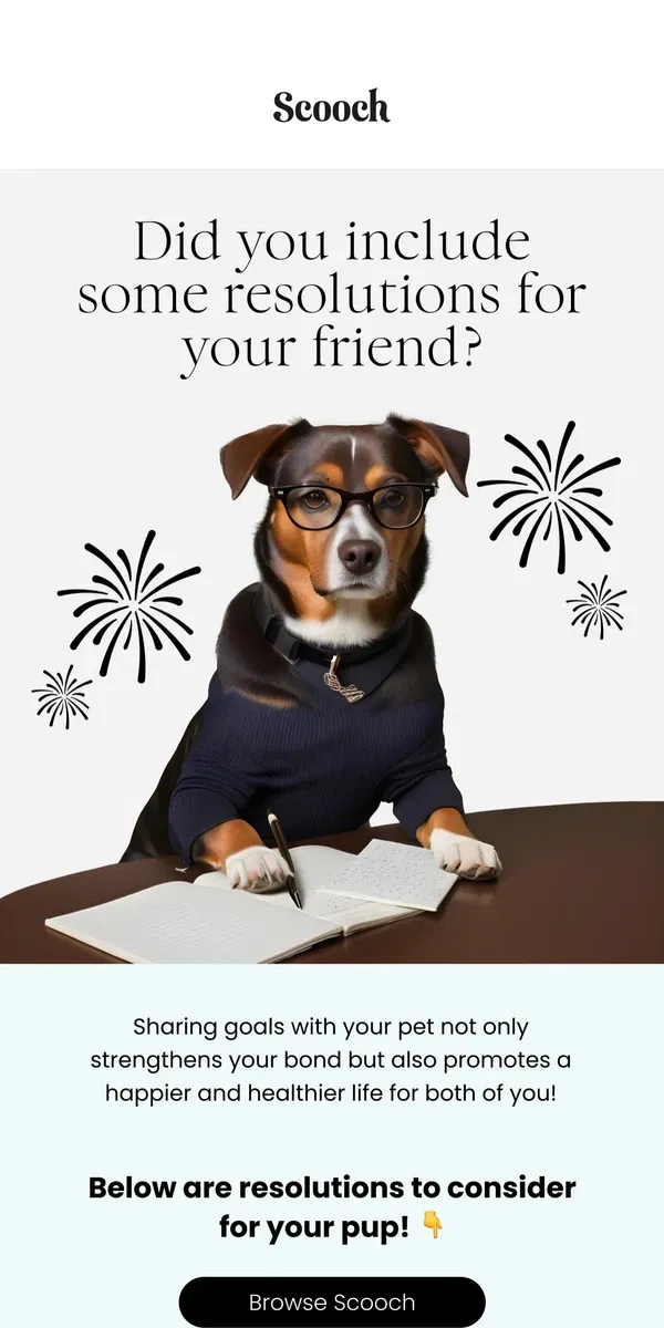 Email from Scooch. New Year, new resolutions for you and your pup!