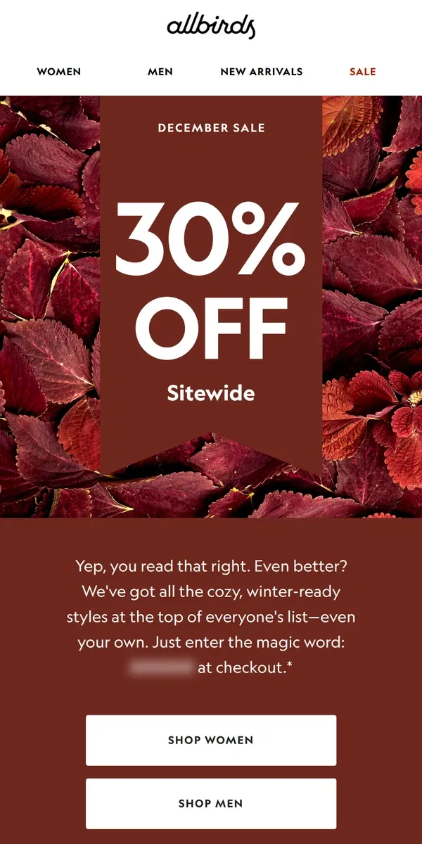 Email from Allbirds. 30% Off Sitewide. Let's. Get. Gifting.