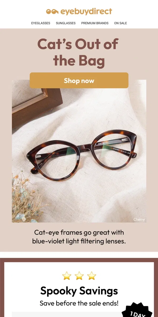 Email from Eyebuydirect. Style Your Blue Light Lenses 😺💙