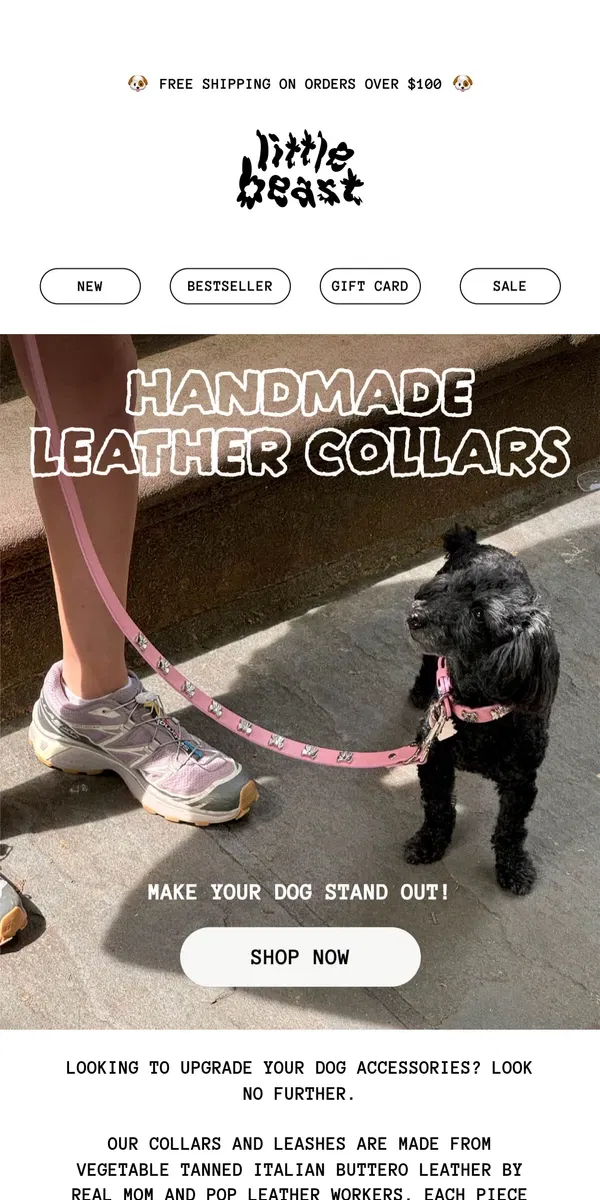 Email from Little Beast. Handmade Leather Collars