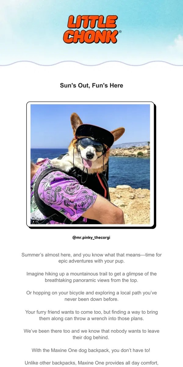 Email from Little Chonk. ✅ Your Summer Bucket list