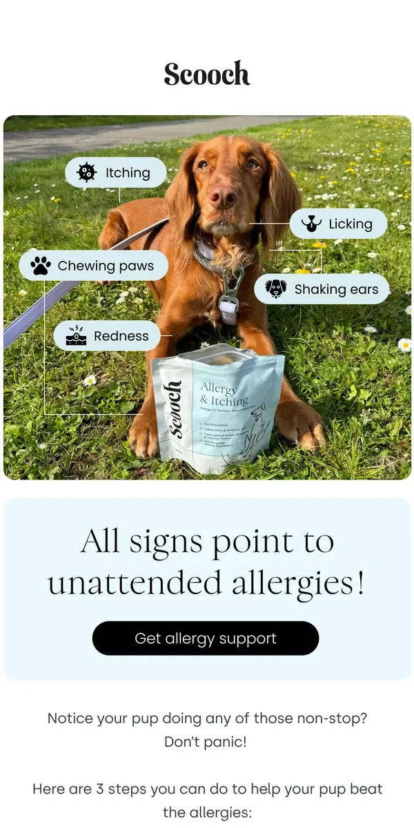 Email from Scooch. Does your pup suffer from these?