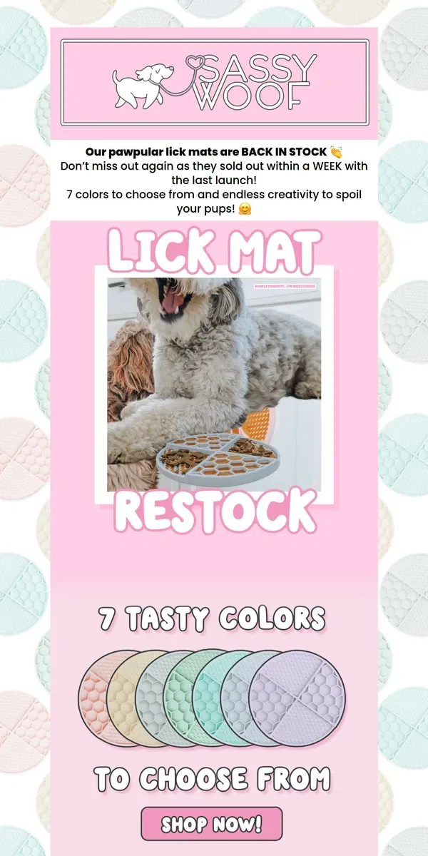 Email from Sassy Woof. ✨ Lick Mats ✨ ARE BACK IN STOCK!