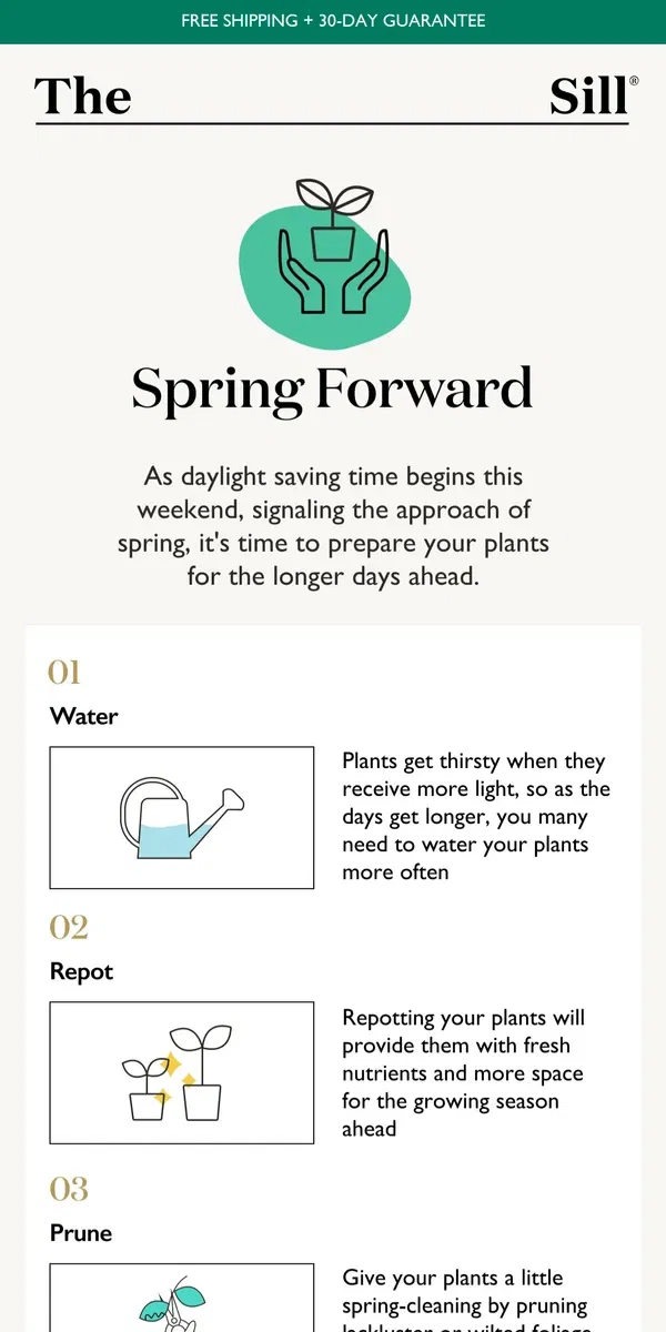 Email from The Sill. Get Your Plants Ready for Spring