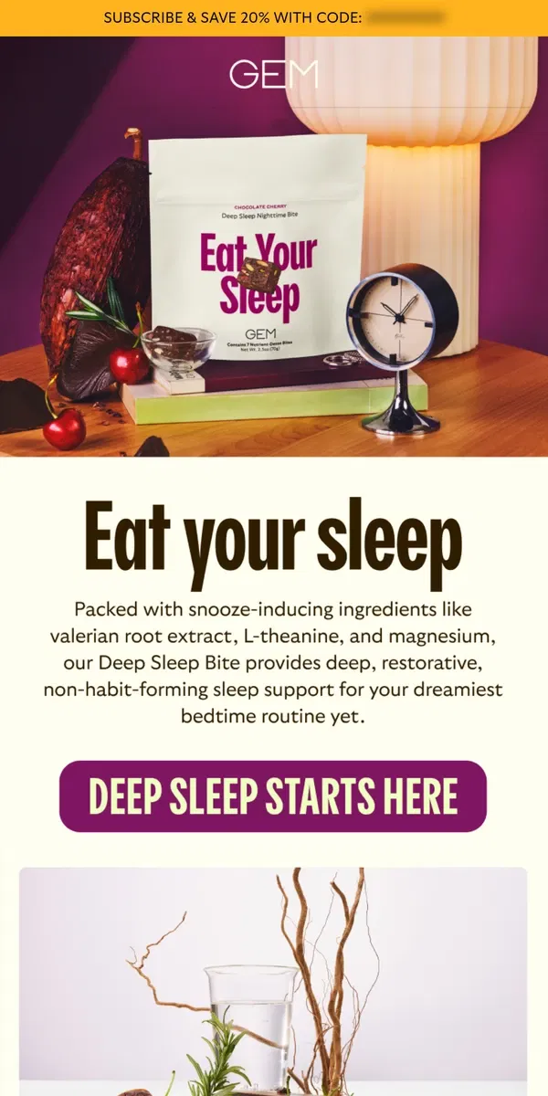 Email from GEM. Sweet dreams in one Bite