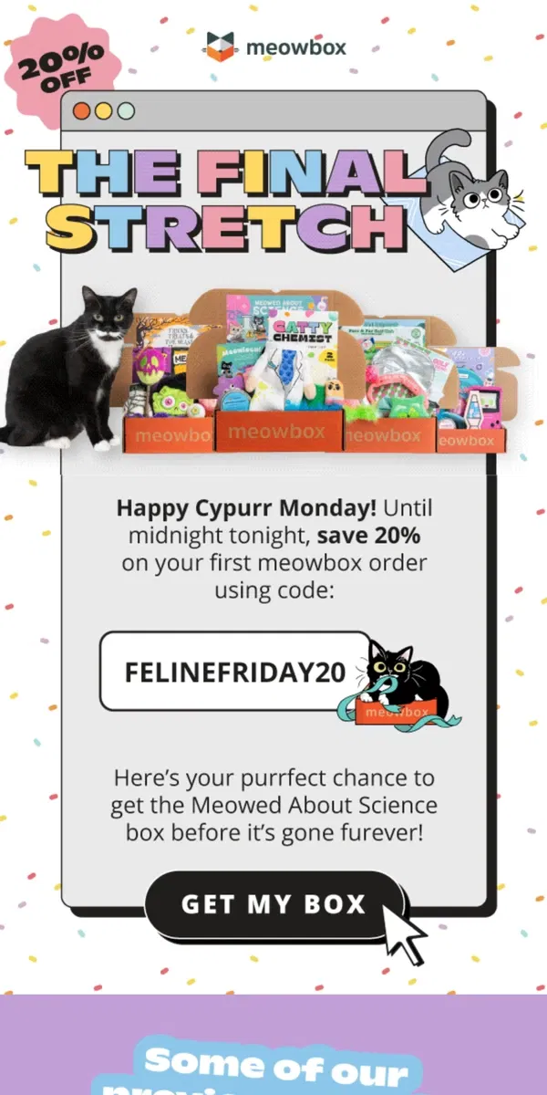 Email from meowbox. The cat-down is on: sale ends tonight! ⏳