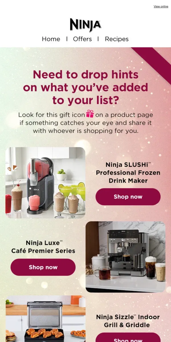 Email from Ninja Kitchen. Drop hints on your holiday wish list.