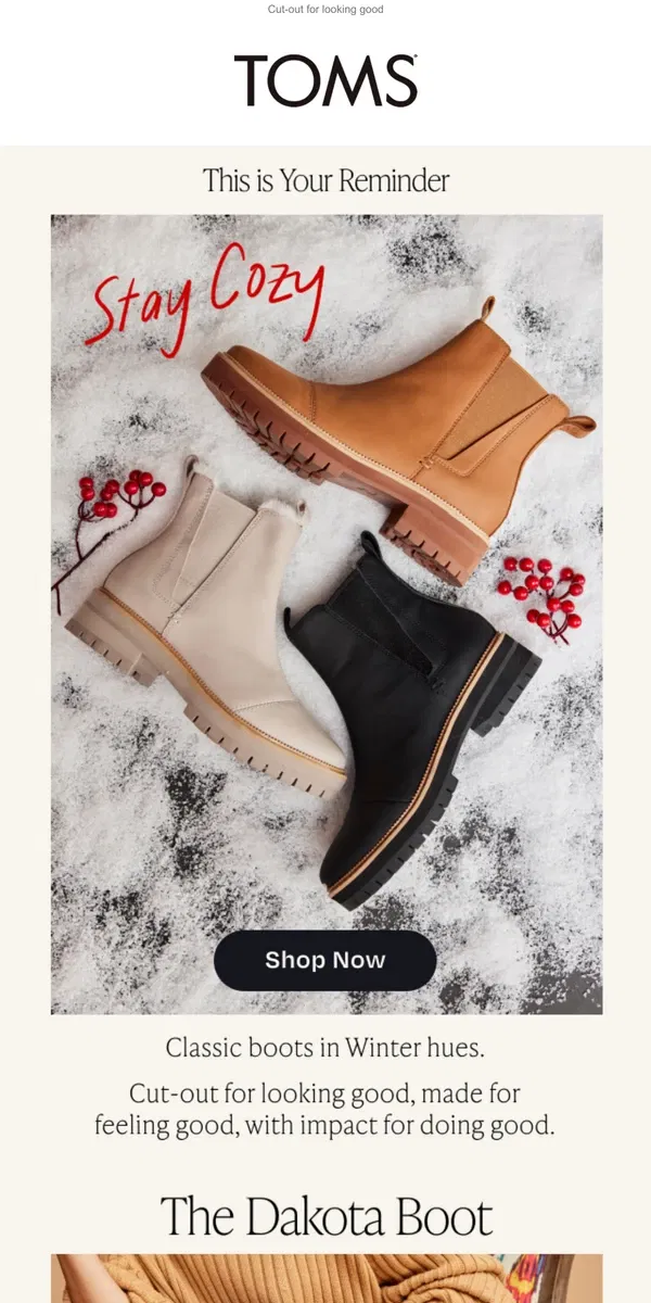 Email from TOMS. Classic boots in winter hues