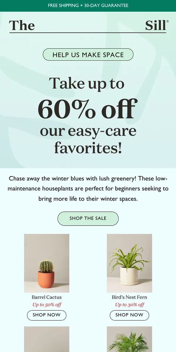 Email from The Sill. Up to 60% Off the Best Plants for Beginners