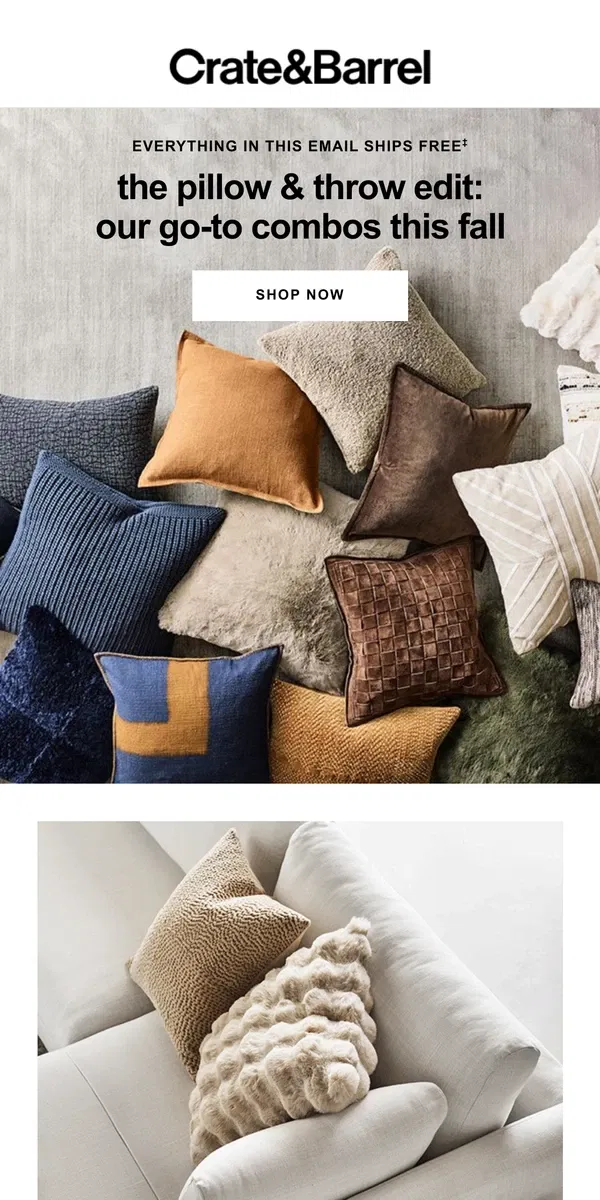 Email from Crate & Barrel. Your one-item update: Fall pillows start at $34.95