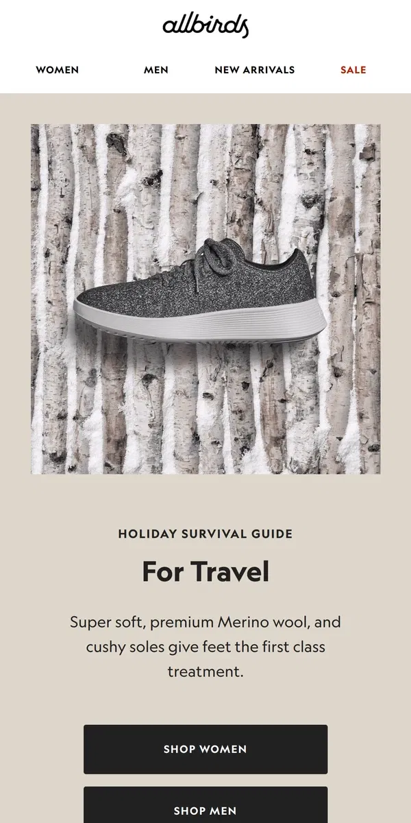 Email from Allbirds. Holiday Survival Guide: Travel