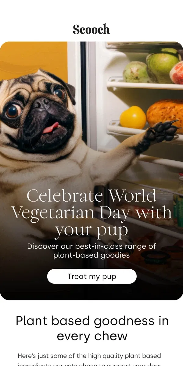 Email from Scooch. World Vegetarian Day 🥬