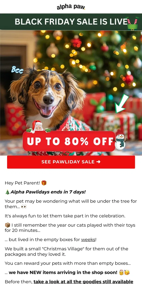 Email from Alpha Paw. What your pet will find under the tree 🎄🎁...