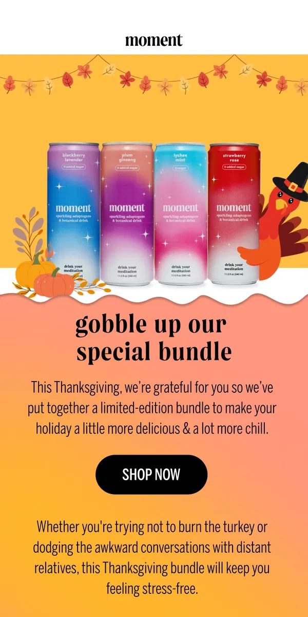 Email from Moment Drink. stress FREE thanksgiving? 👀🦃