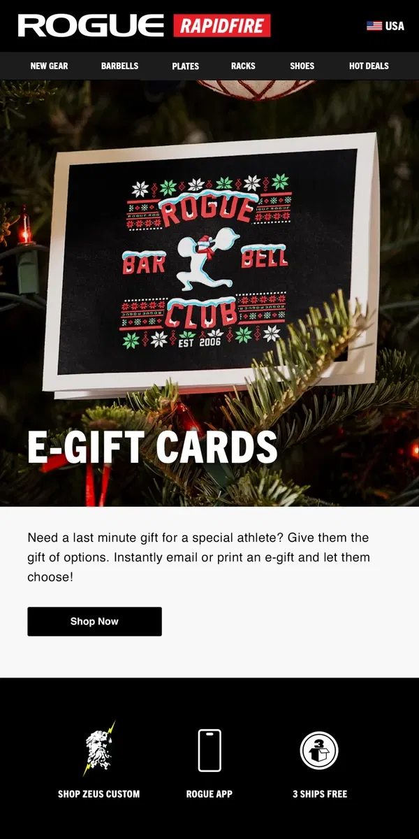 Email from Rogue Fitness. Last Minute E-Gift Card