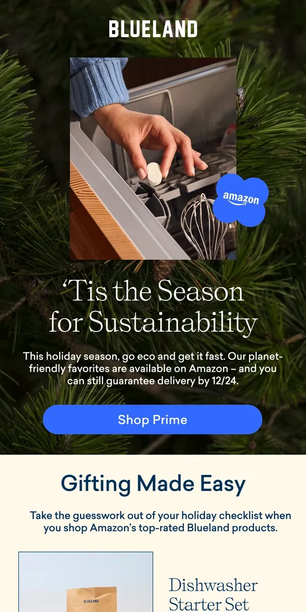 Email from Blueland. Forgot a few holiday gifts?