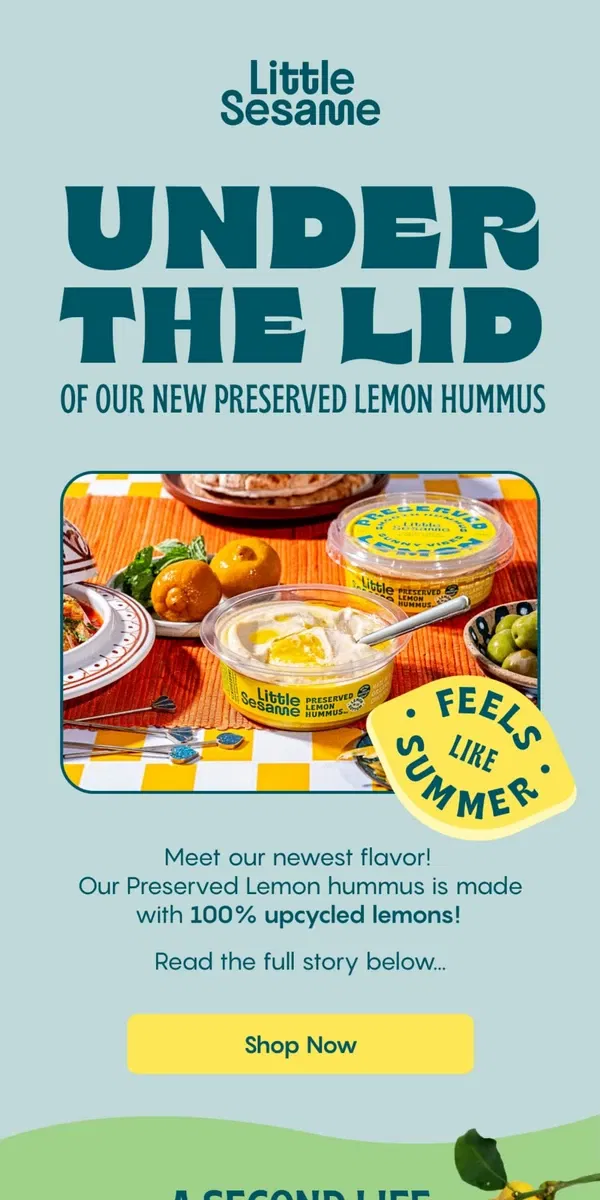 Email from Little Sesame. Get to know our newest flavor 🍋