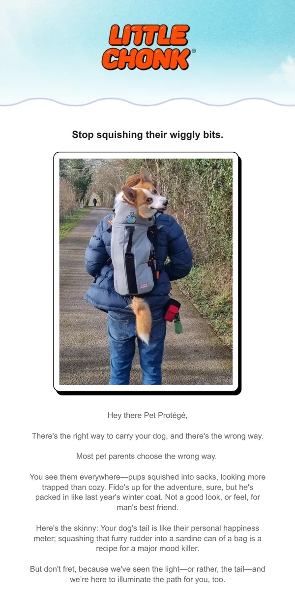 Email from Little Chonk. Carrying your dog? Do It right! 🐶