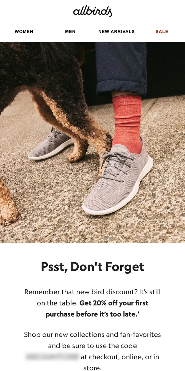 Email from Allbirds. 20% Off Is Going, Going…