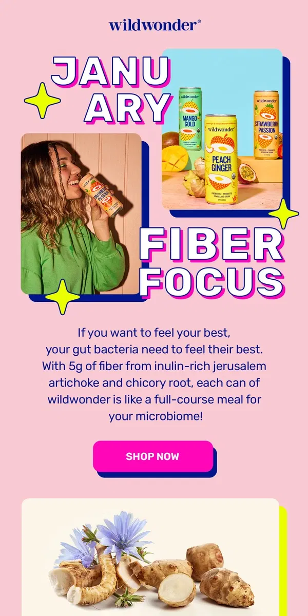 Email from wildwonder. DYK January is National Fiber Month? 📅