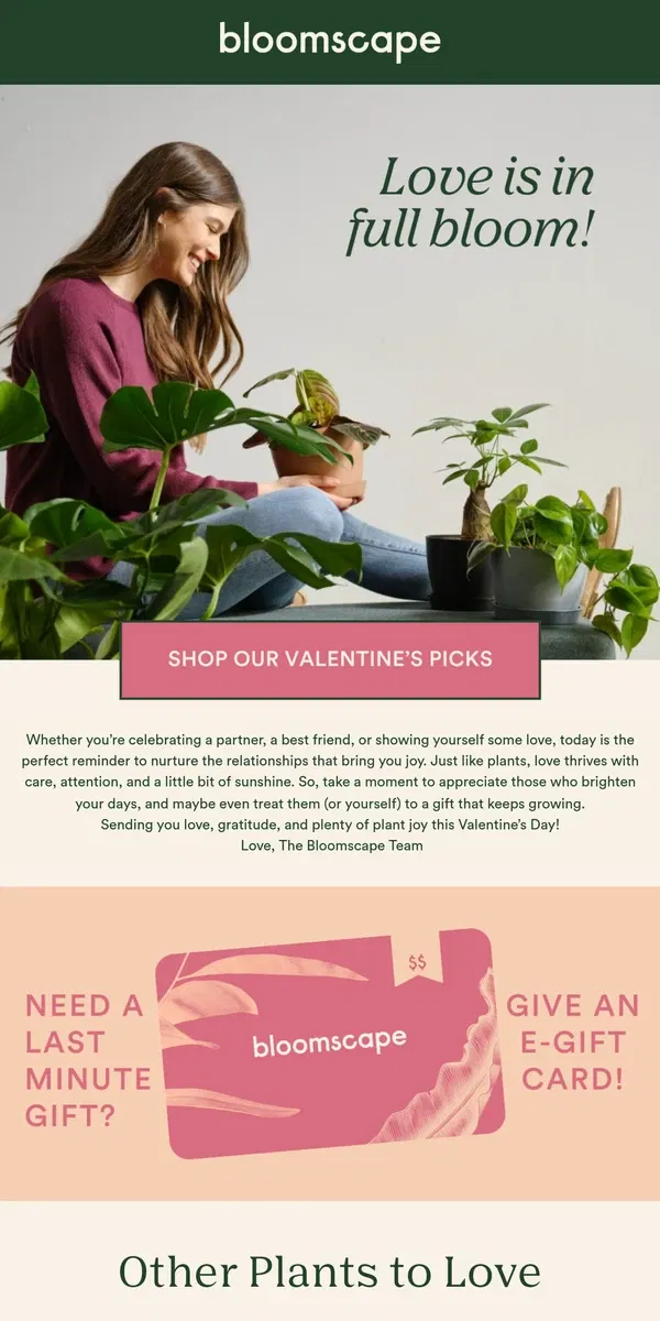 Email from Bloomscape. Happy Valentine's Day💘