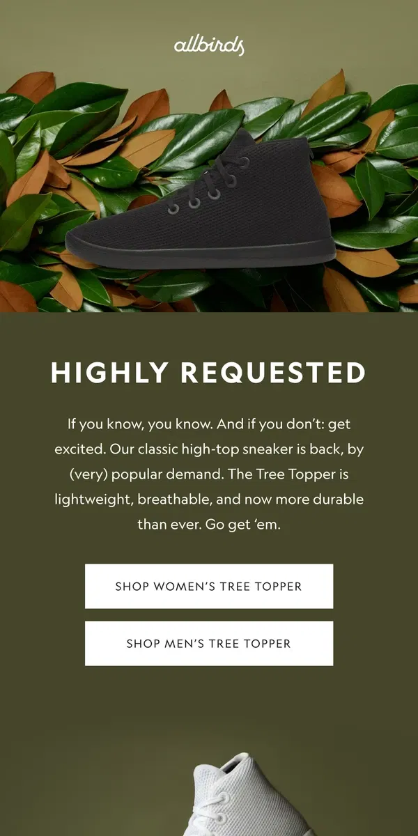 Email from Allbirds. Everybody’s Fave High-Top Is Back 🥳