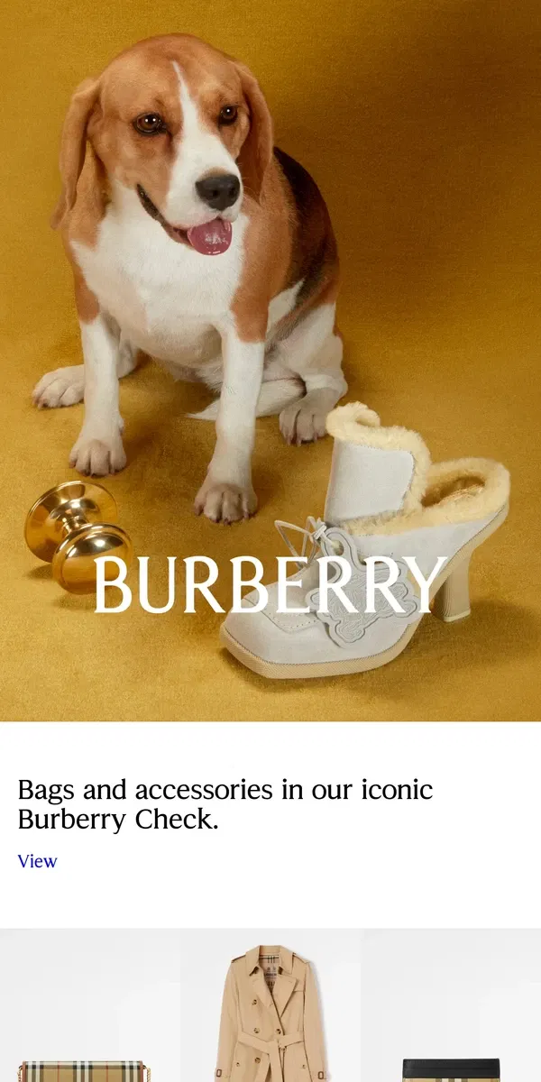 Email from Burberry. Burberry Check gifts