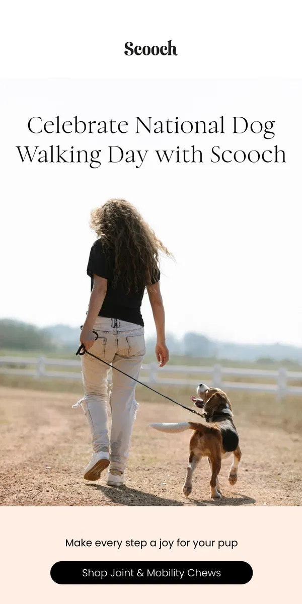 Email from Scooch. Happy National Dog Walking Day