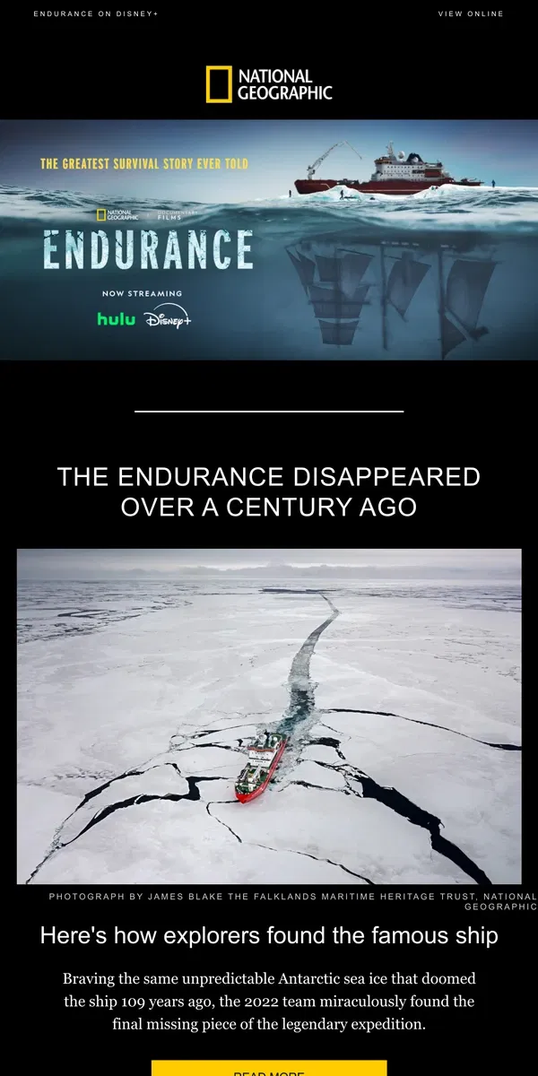 Email from National Geographic. Witness a mystery solved, a century in the making with National Geographic's Endurance, now streaming on Disney+!