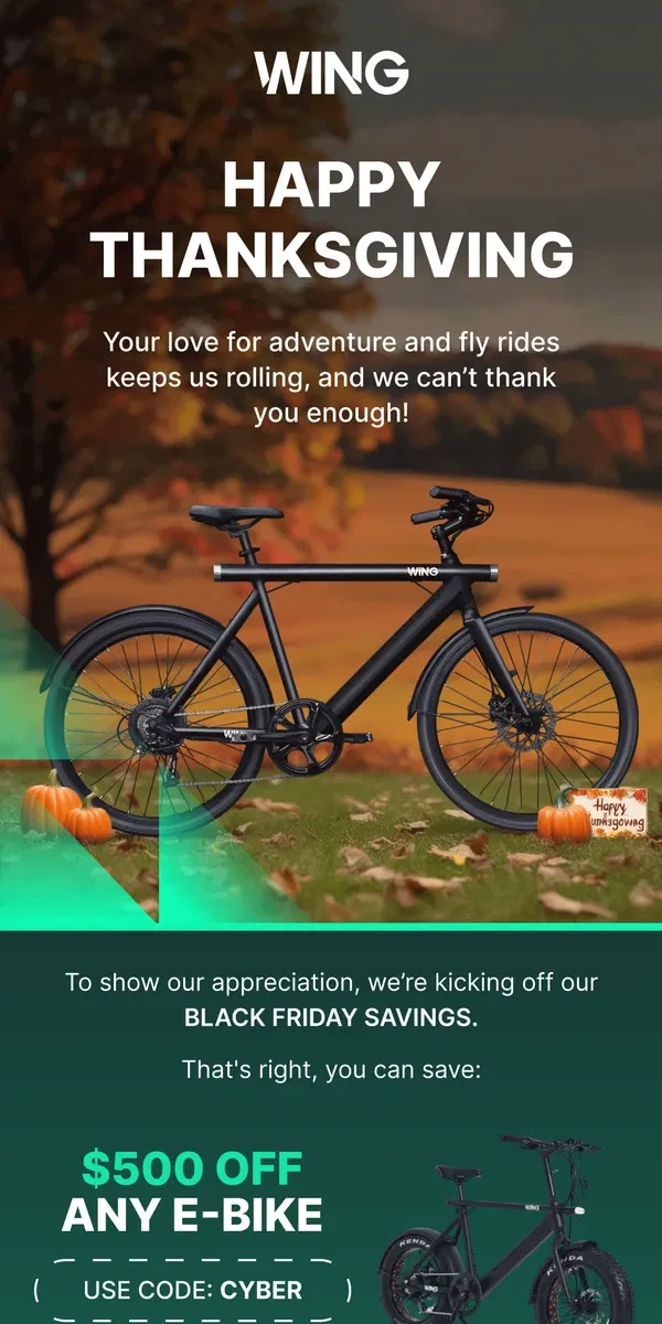 Email from Wing Bikes. A Thanksgiving Surprise 🦃