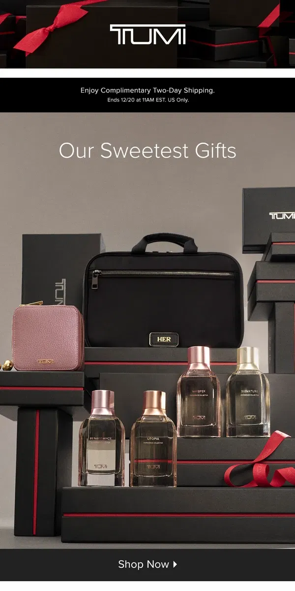 Email from Tumi. Complimentary Two-Day Shipping