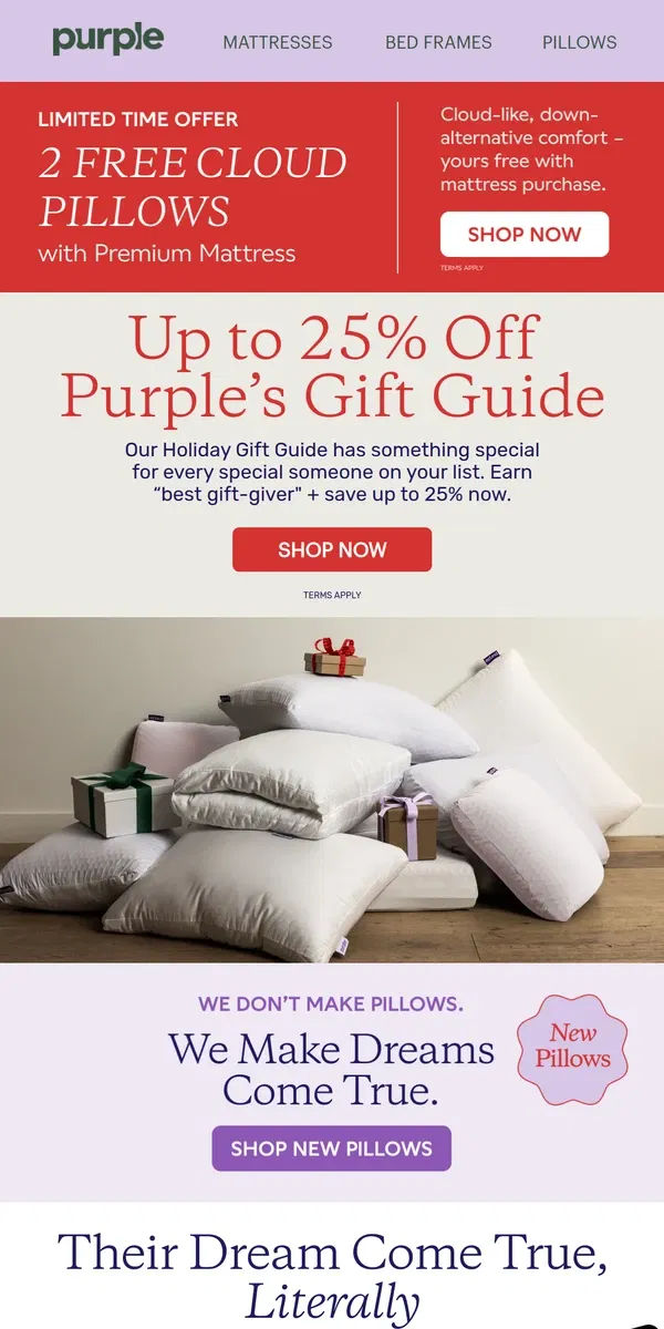 Email from Purple. There's a 98% chance they'll love this gift.