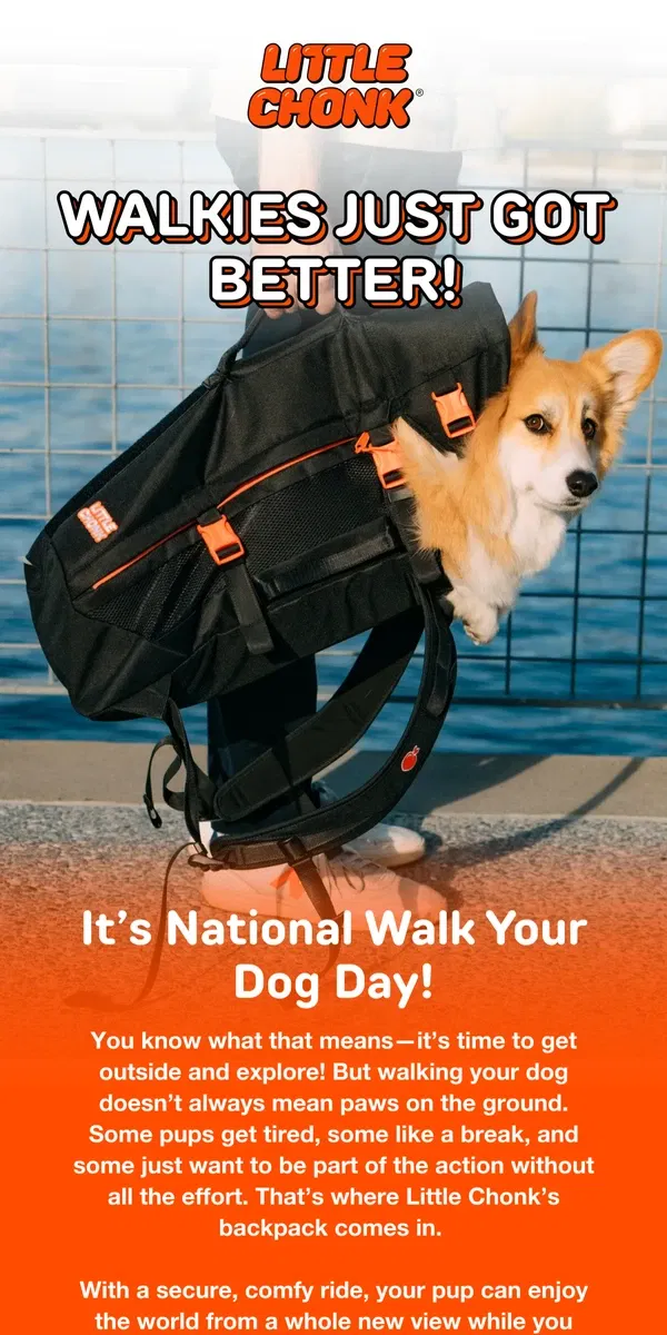 Email from Little Chonk. Walkies? Yes, please! 🚶‍♂️🐶