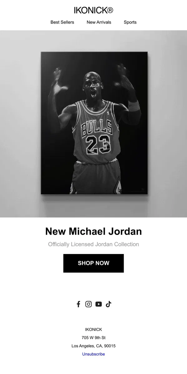 Email from IKONICK. NEW Michael Jordan Art 🏀