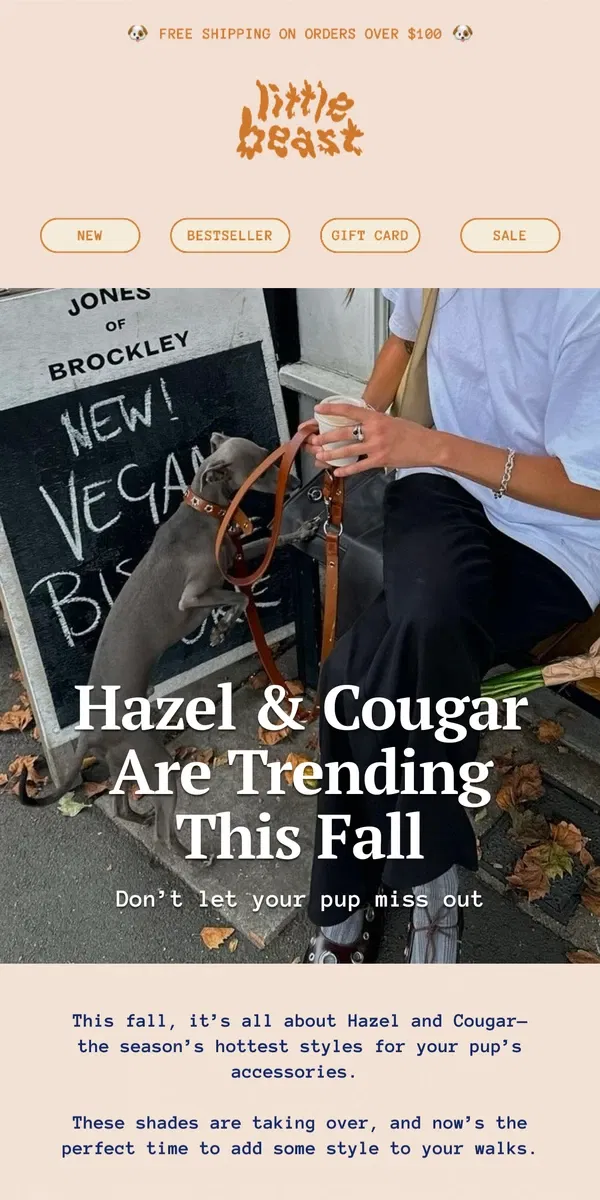 Email from Little Beast. Hazel & Cougar Are Trending This Fall