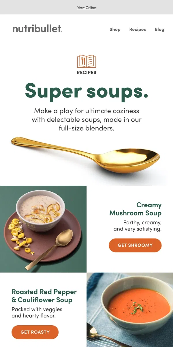 Email from nutribullet. Soup-er Bowls