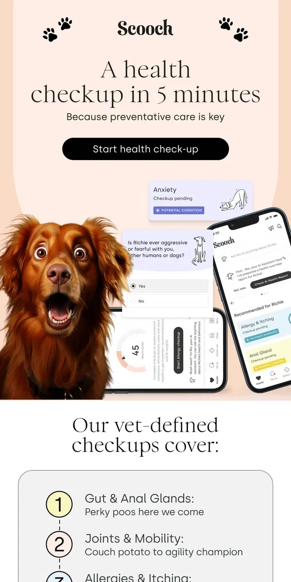 Email from Scooch. Your pup's health score.