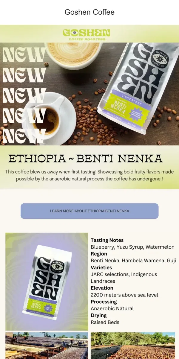 Email from Goshen Coffee Roasters. Giving your Monday some Motive! Shop ~NEW~ Coffee!