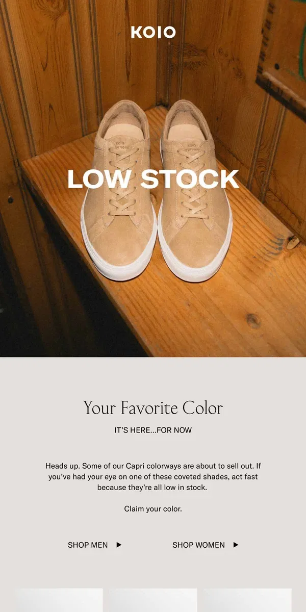 Email from Koio. These Capri colorways are selling out